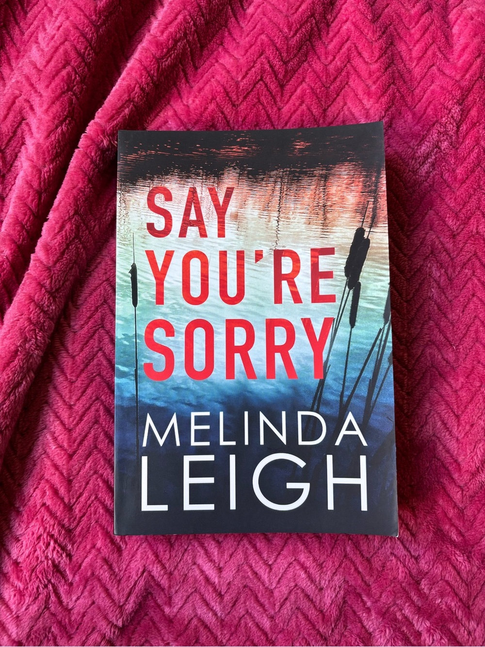 Say You're Sorry by Melinda Leigh